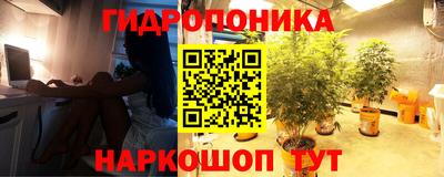 наркотики Ставрополь