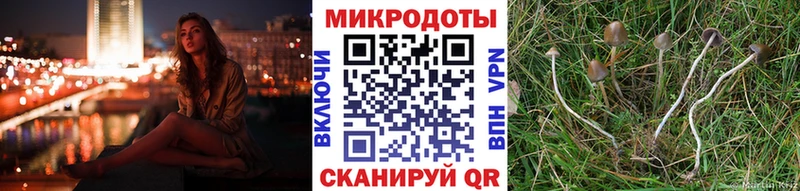 OMG ONION  Ржев  Псилоцибиновые грибы мухоморы  закладка 