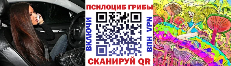 Псилоцибиновые грибы Cubensis Ржев