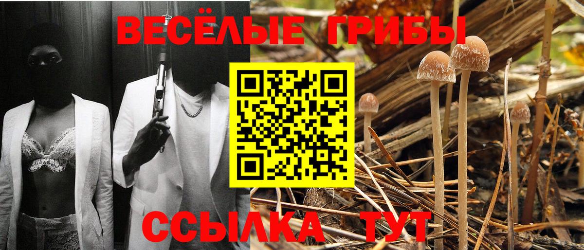 Псилоцибиновые грибы GOLDEN TEACHER Ржев