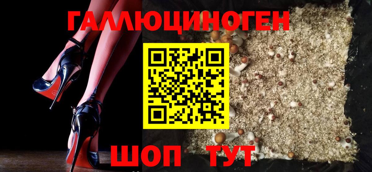 Ржев  Псилоцибиновые грибы прущие грибы  Вход с VPN 